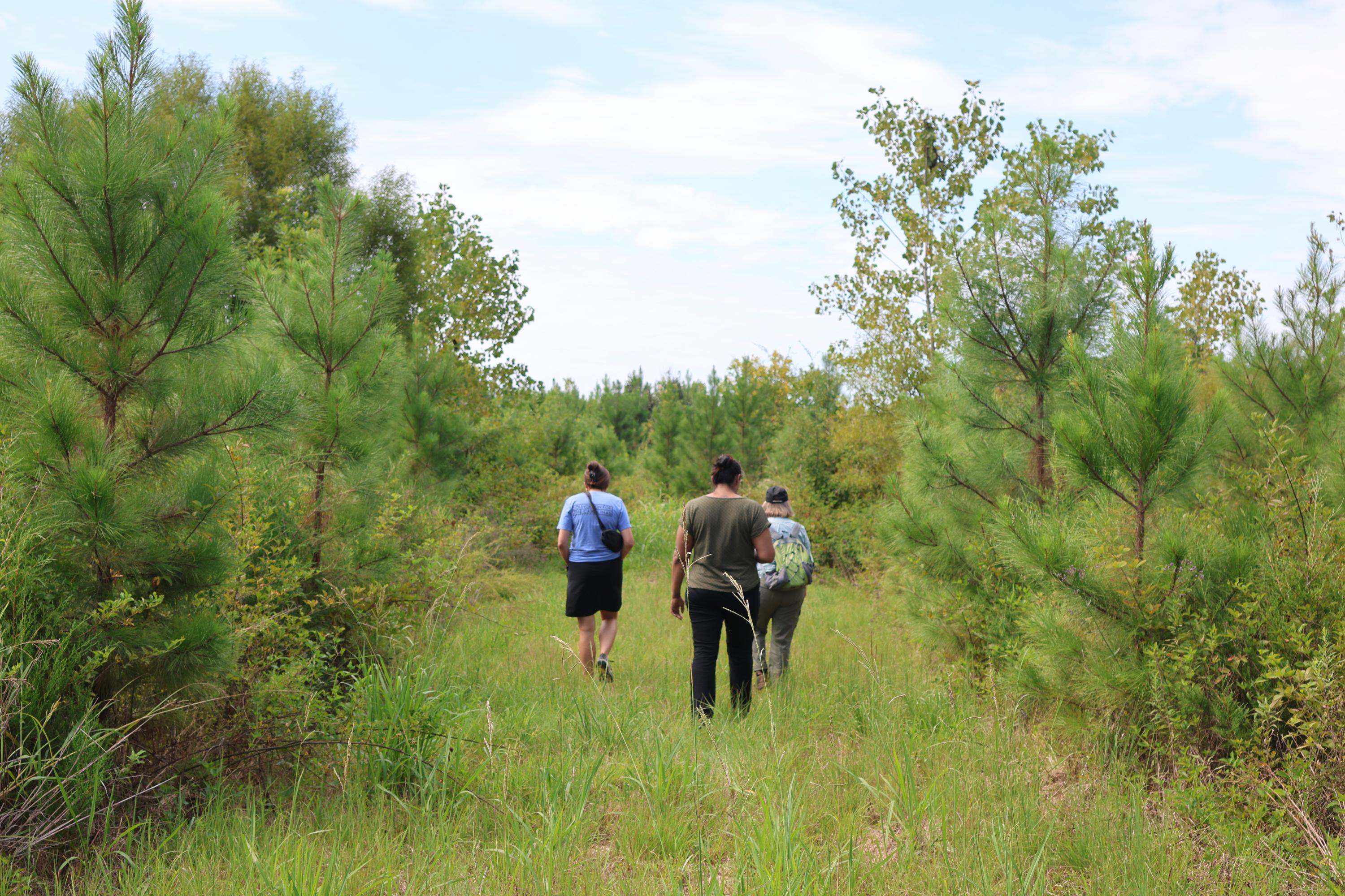 Nation Ford Land Trust