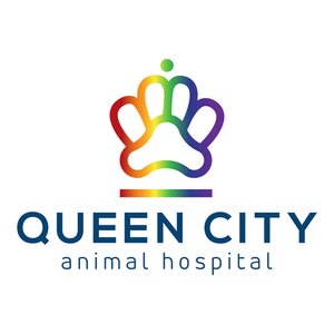 Queen City Animal Hospital